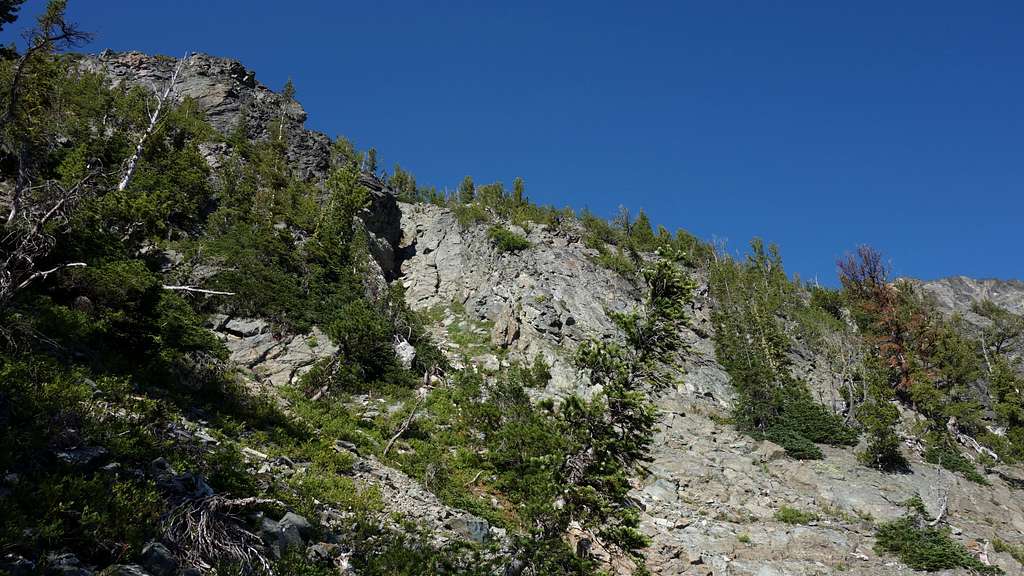 Deep gully on lower west ridge of Martin Peak
