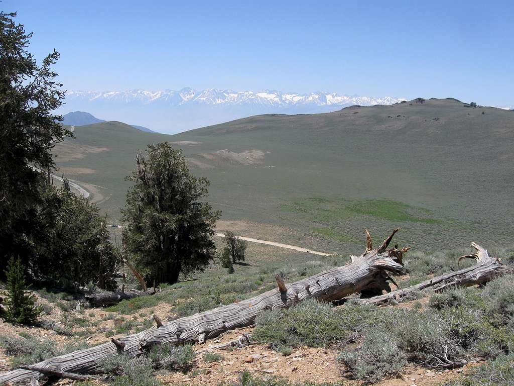 Spectacular Views of the High Sierra From the Discovery Trail