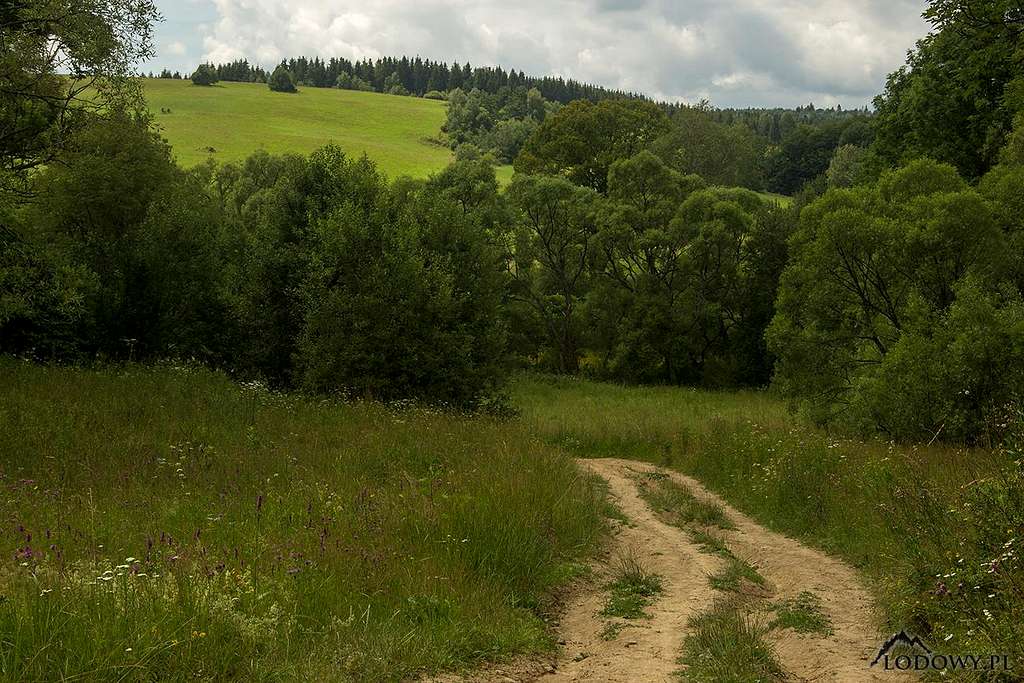 Stary Lupkow area