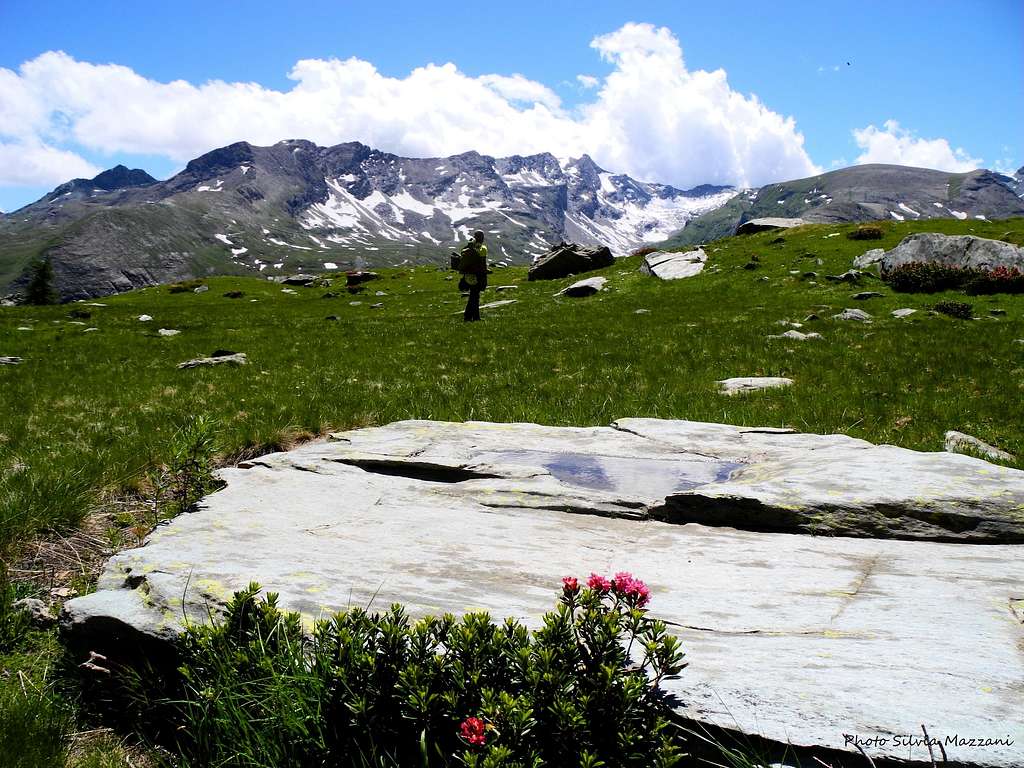 The descent meadows and Rosa dei Banchi in background