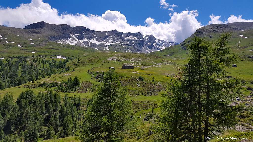 Dondenaz meadows and  Rosa dei Banchi