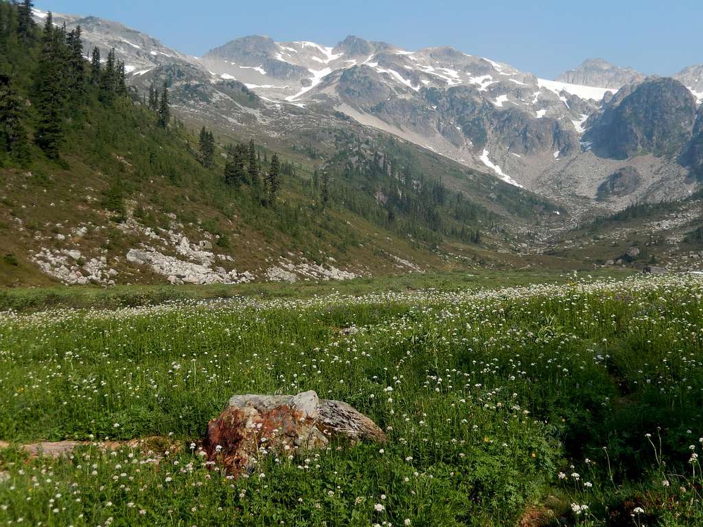 Beautiful Brandywine Meadows