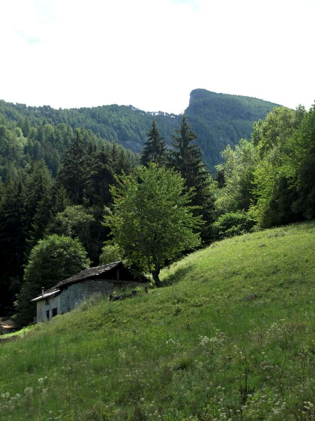 Pieiller-de-Sermoz below Mont Torrasse <i>(1854m)</i>  2017