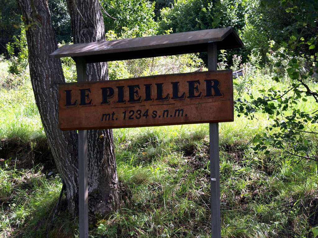 Nearby the Pieiller Alp <i>(1234m)</i> in Pieiller Vallon 2017