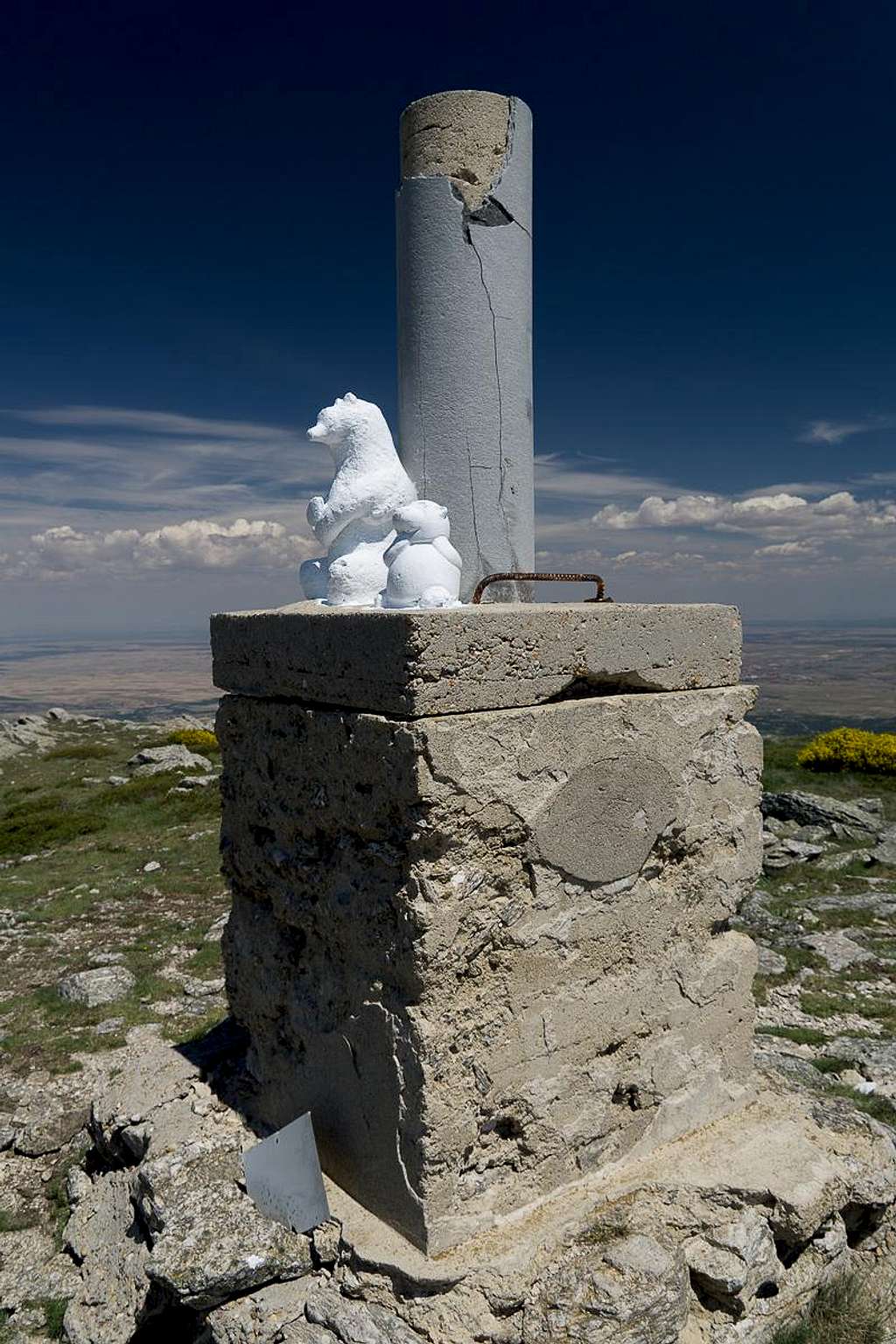 Bears on the summit column