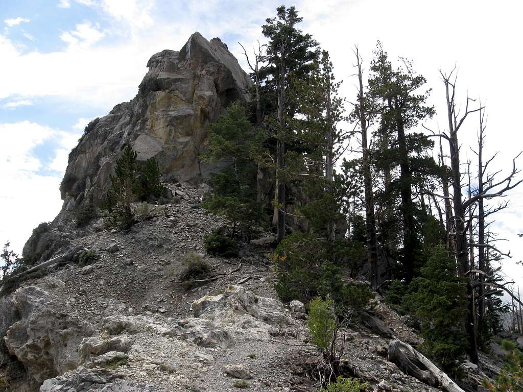 Along the Crest of Cockscomb Ridge