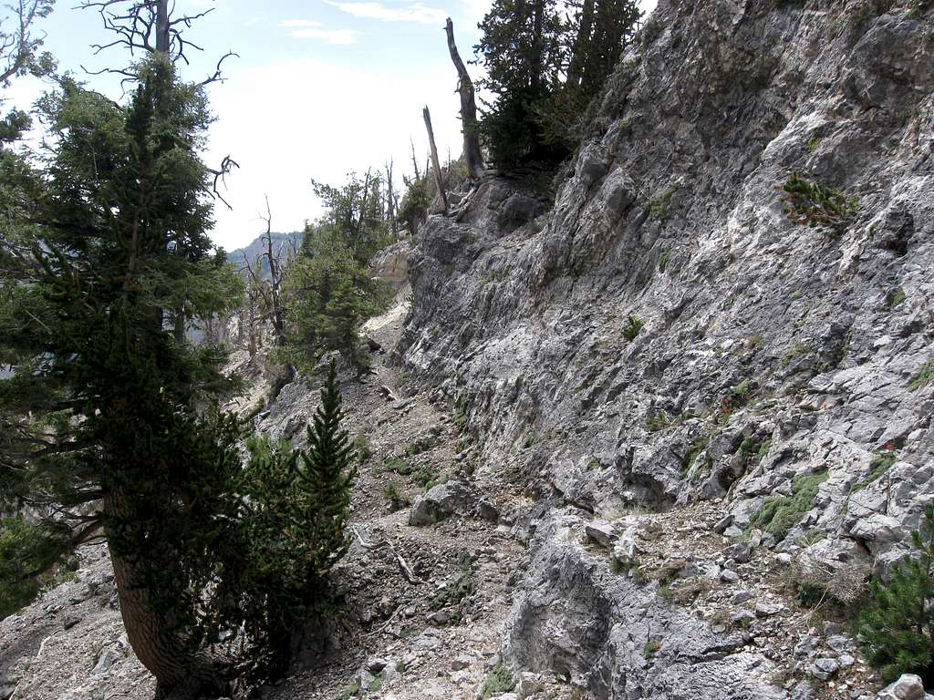 Terrain on the West Side of the Ridge