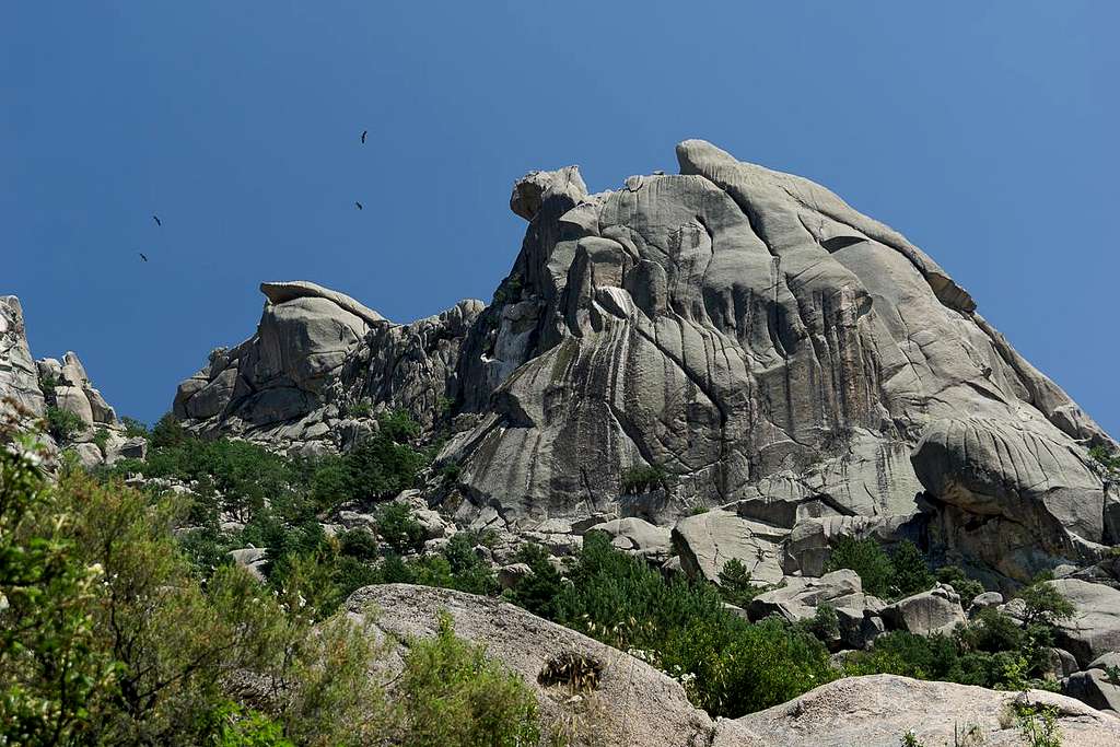 Vultures soaring above granite domes
