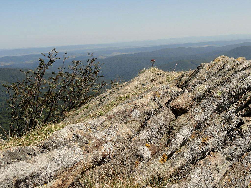 Carynska Meadow - Our hike – August 30, 2017