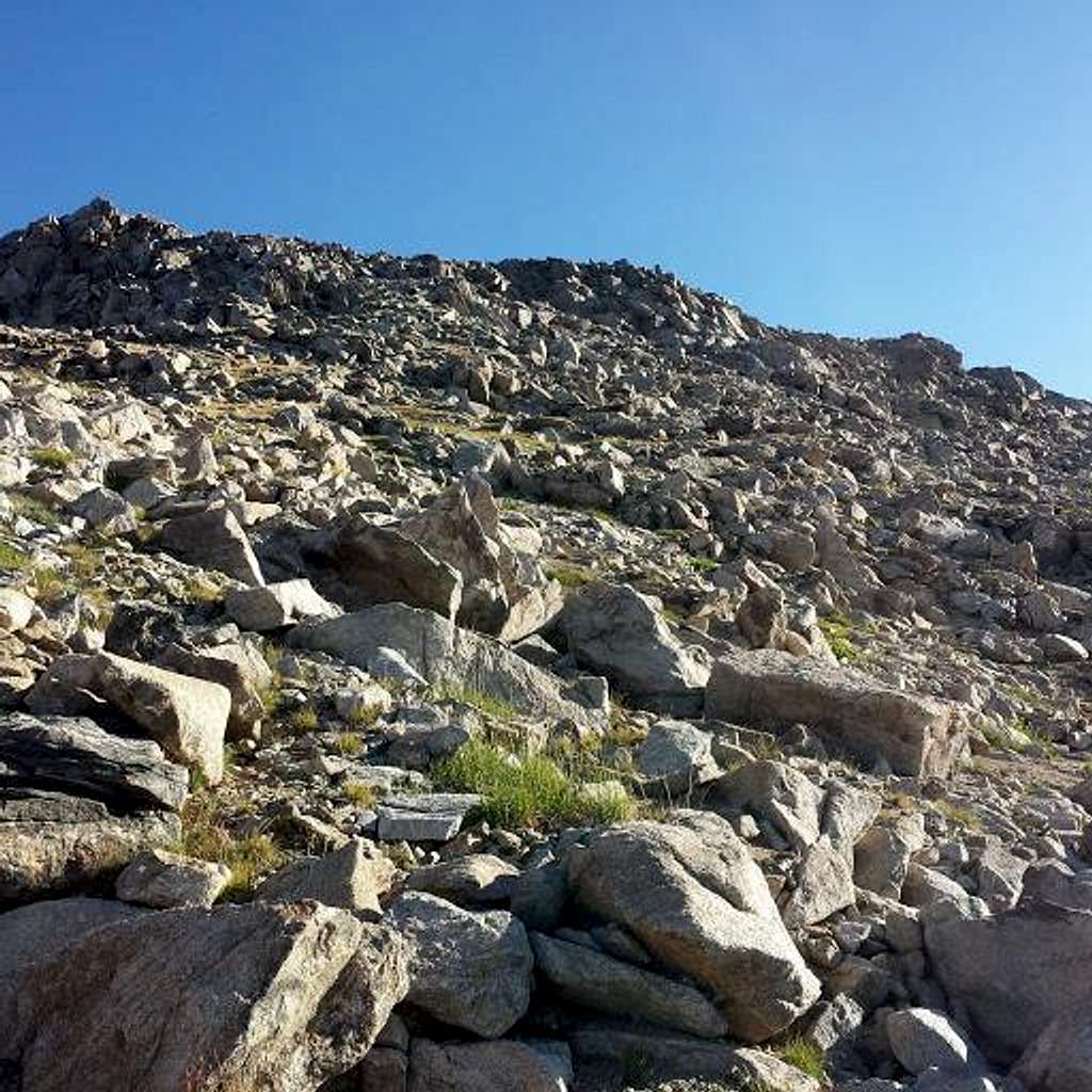 Terrain lower on the south ridge of Mount Lester