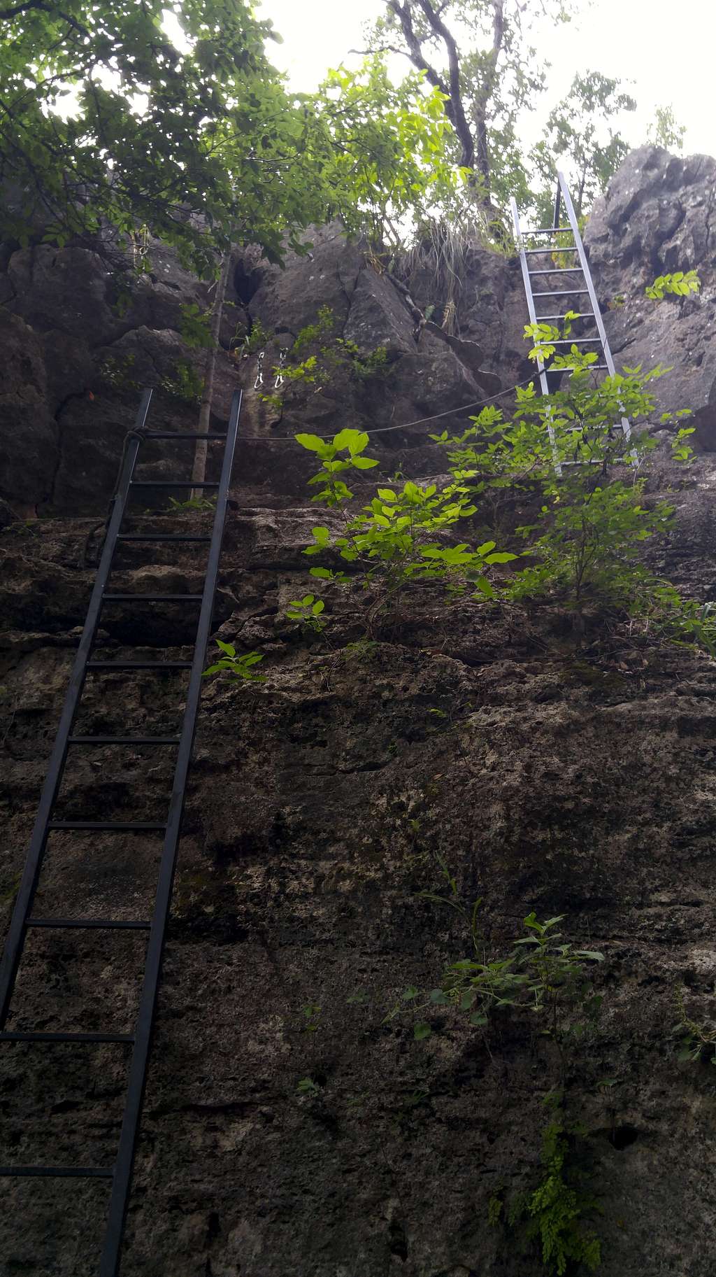 Monster Rock Ladders