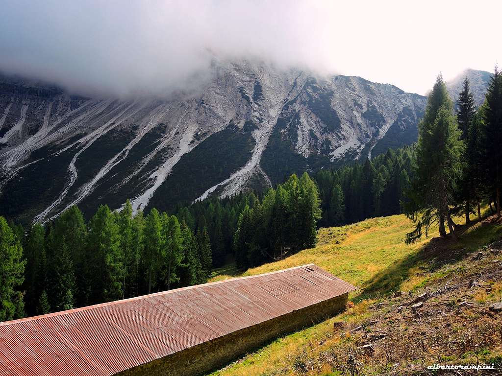 Alm along Sassolungo di Cibiana approach trail