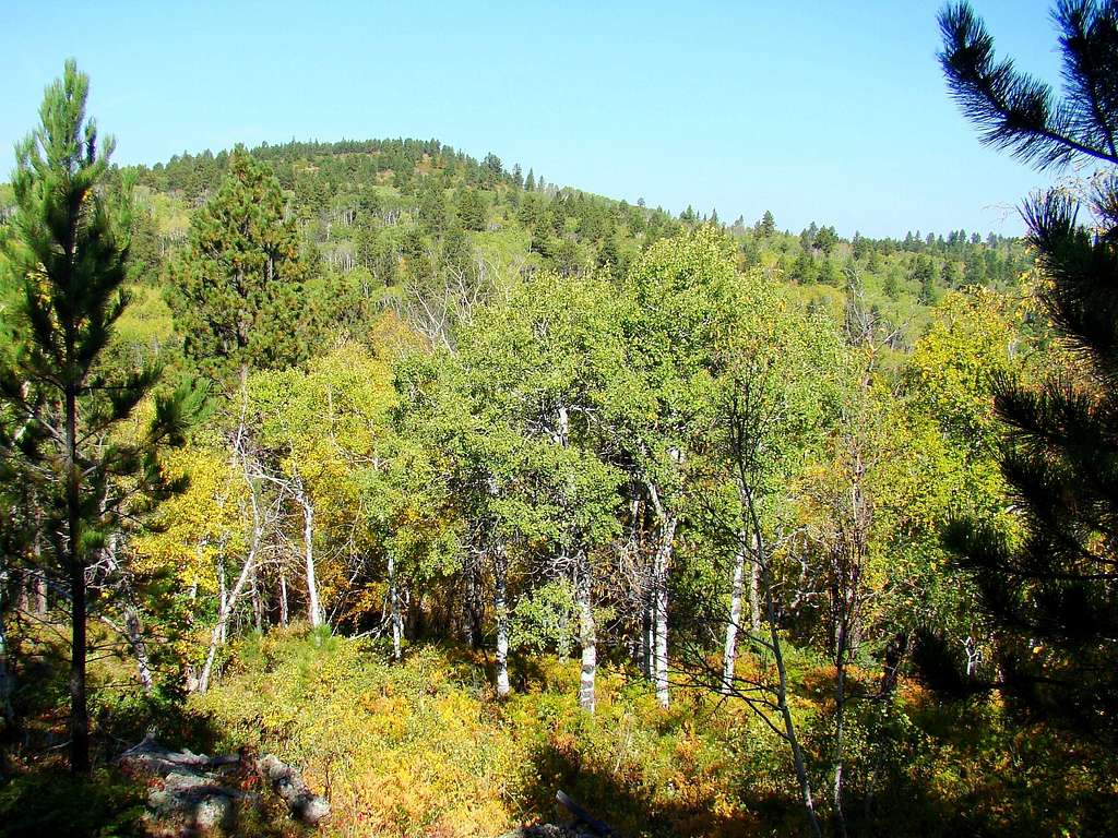 Old Baldy Mountain