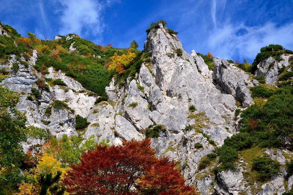 Limestone pinnacles in fiery autumn clothing