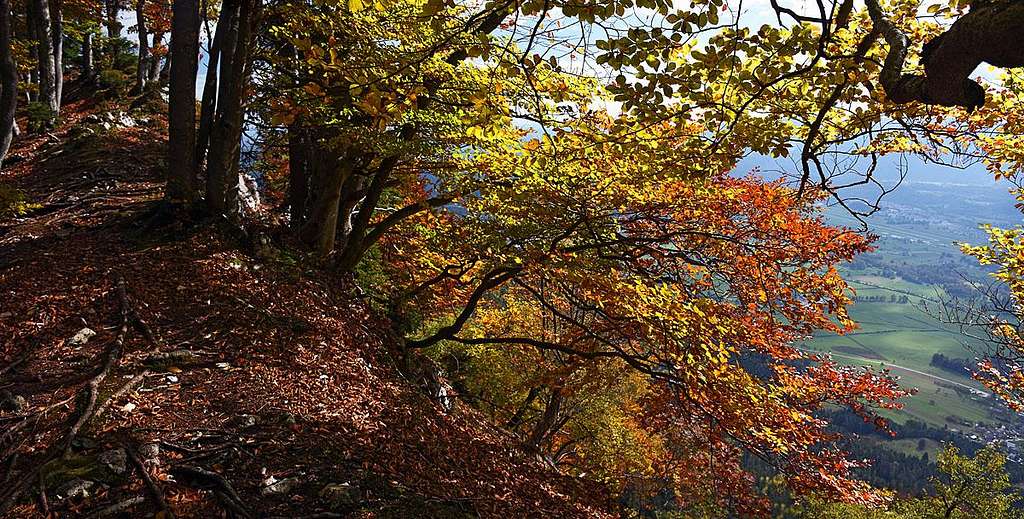 Smokuski vrh in autumn