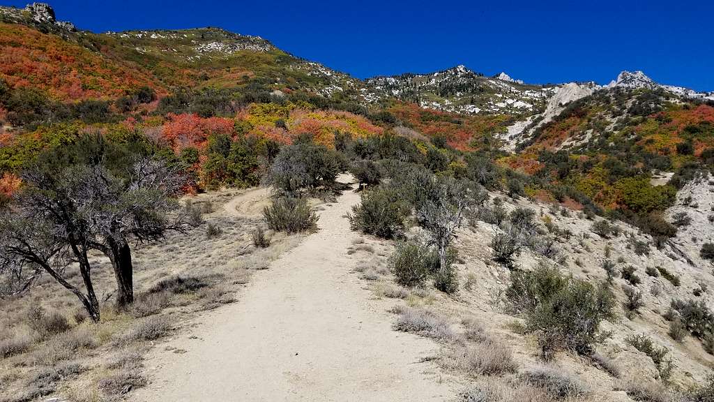 A fall scene while departing Lone Peak via Jacob's Ladder.  