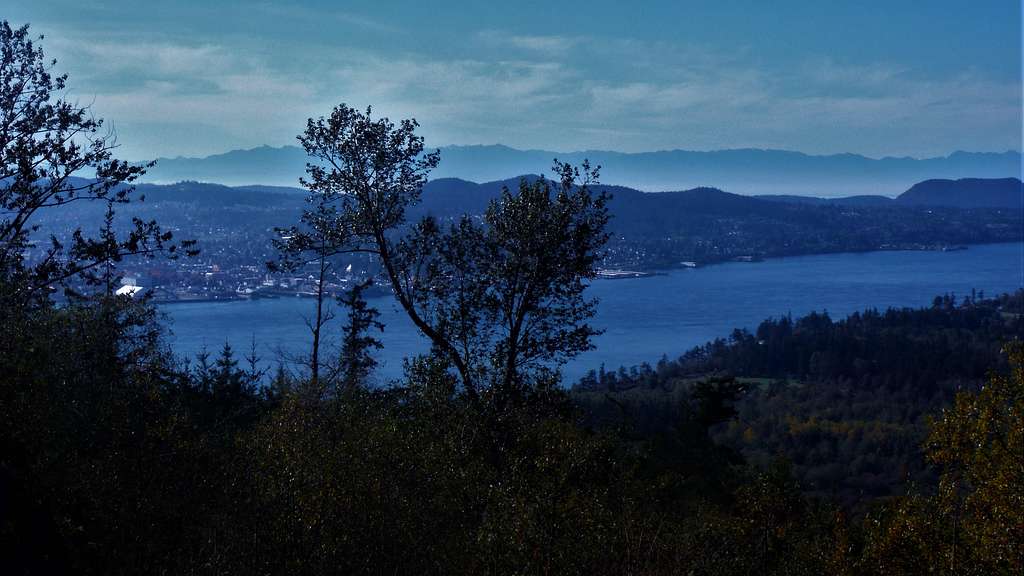 Anacortes and the Olympics