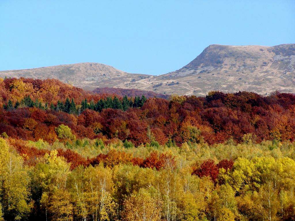 Mount Tarniczka (1315 m) and Mount Tarnica (1346 m)