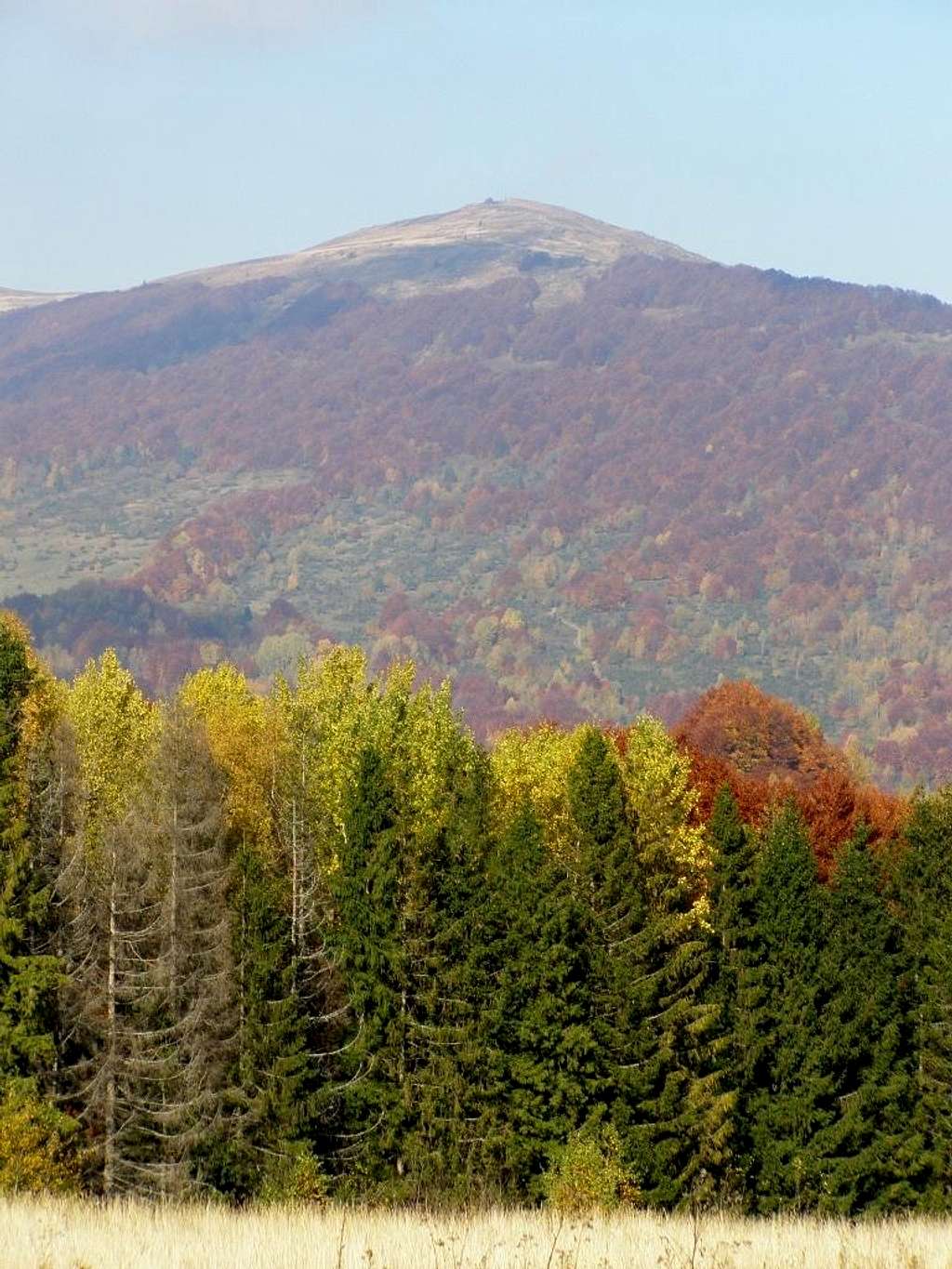 Mount Połonina Wetlińska