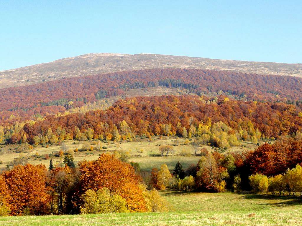 Mount Połonina Caryńska