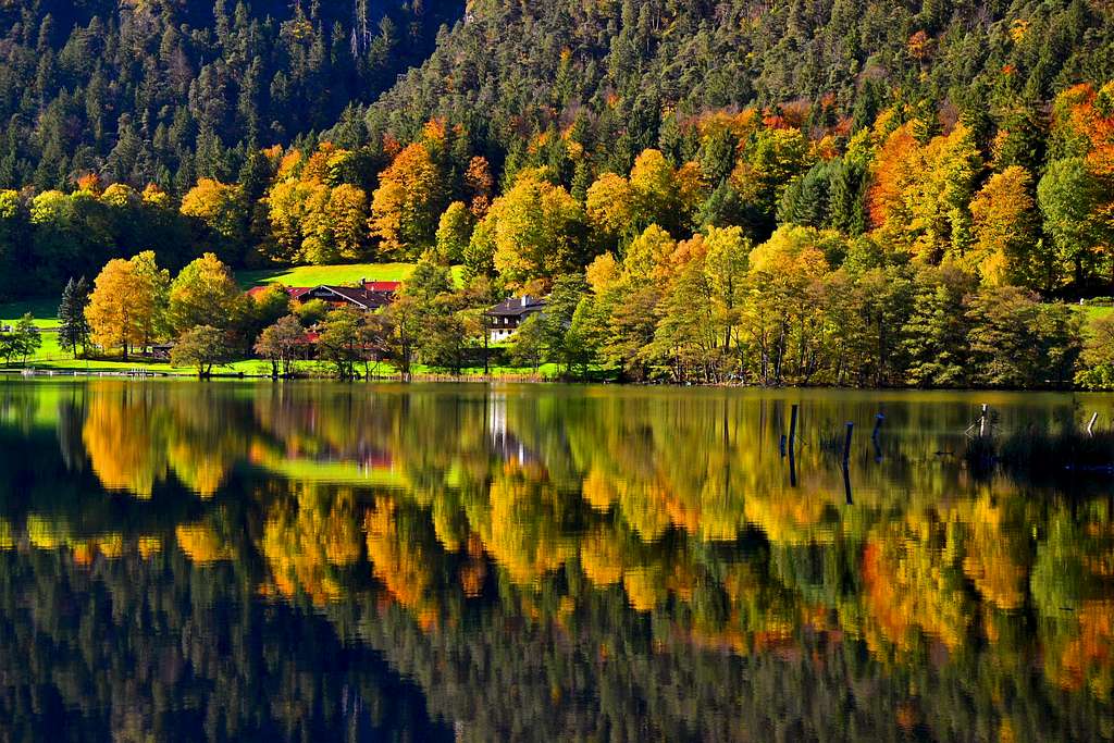 Autumn foliage at the Thumsee lake