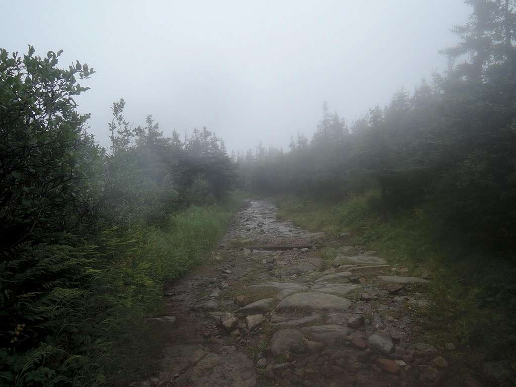 Lower trail to mont Jacques-Cartier