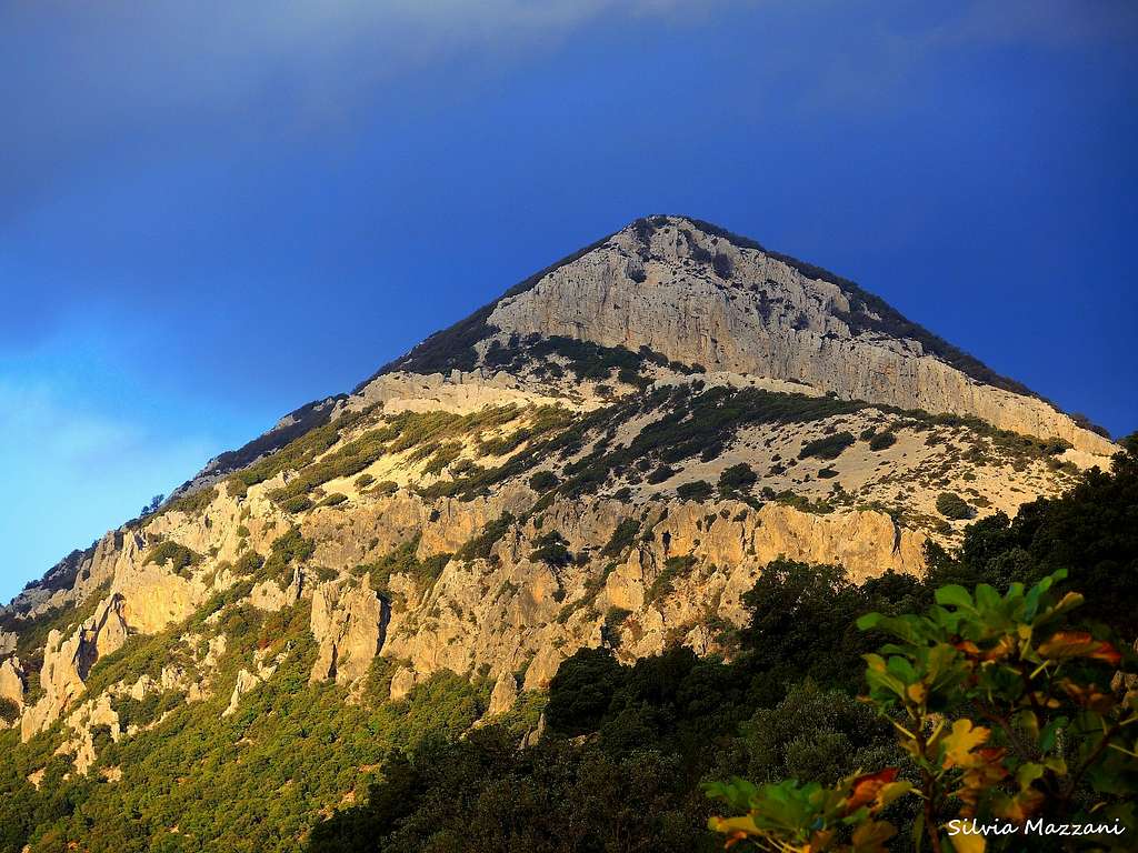 Monte Bardia, Supramonte