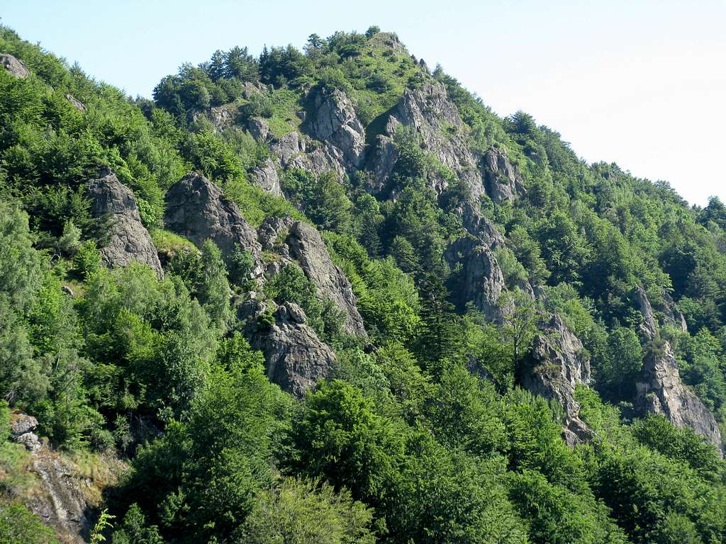 Stone Forest of the Narăţ