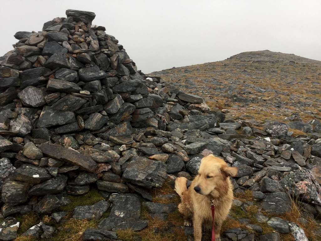 Henry on summit Sgurr na Lapaich
