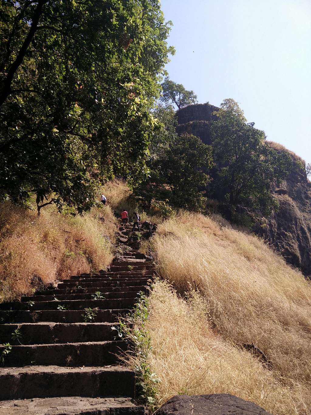 Going up, in the sun.