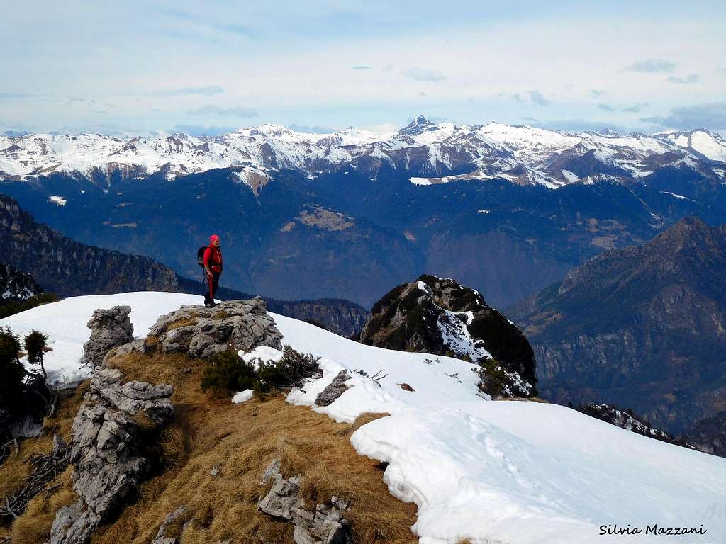 Adamello group seen from the summit of Monte Caplone