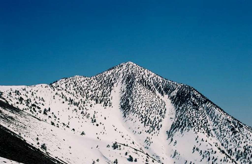 Telescope Peak (April 16, 2005)
