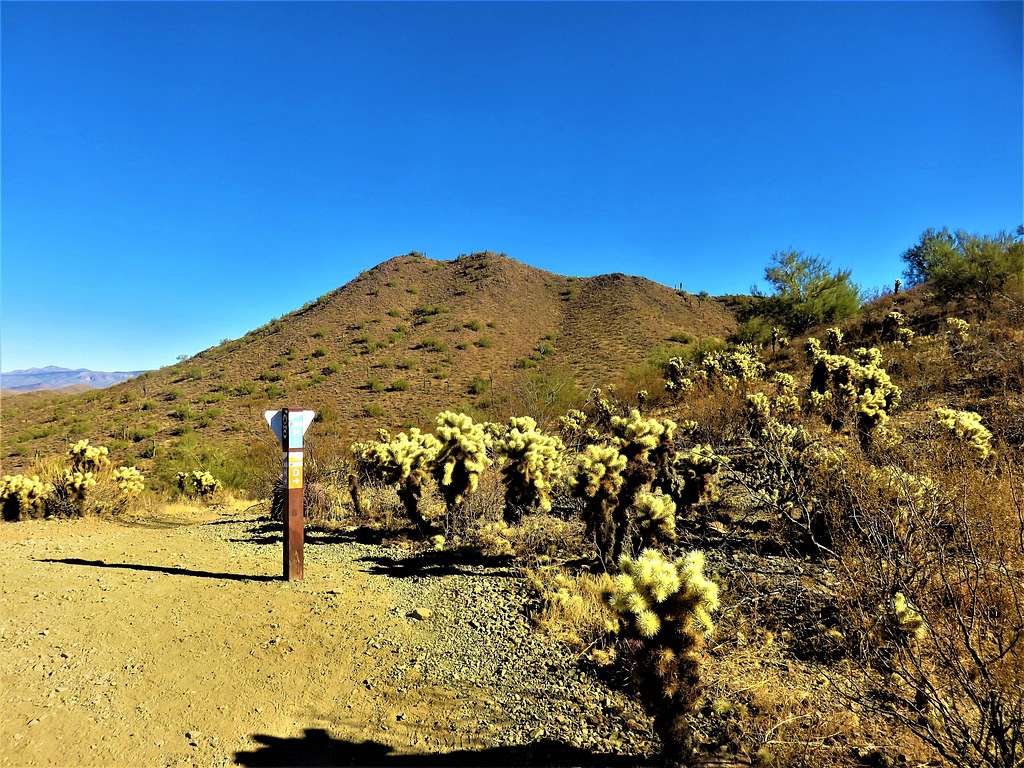 At the trail junction for the start and end of the Dixie Mountain Loop