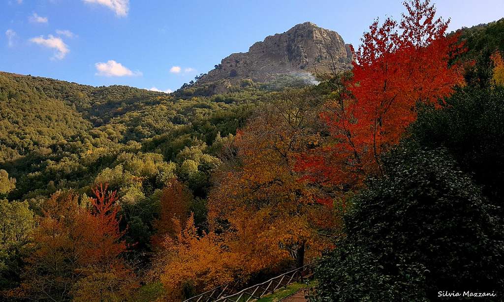 Autumn, Monte Novo San Giovanni