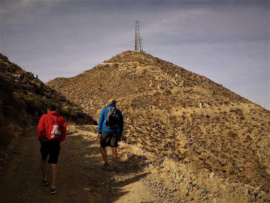 Walking towards the summit