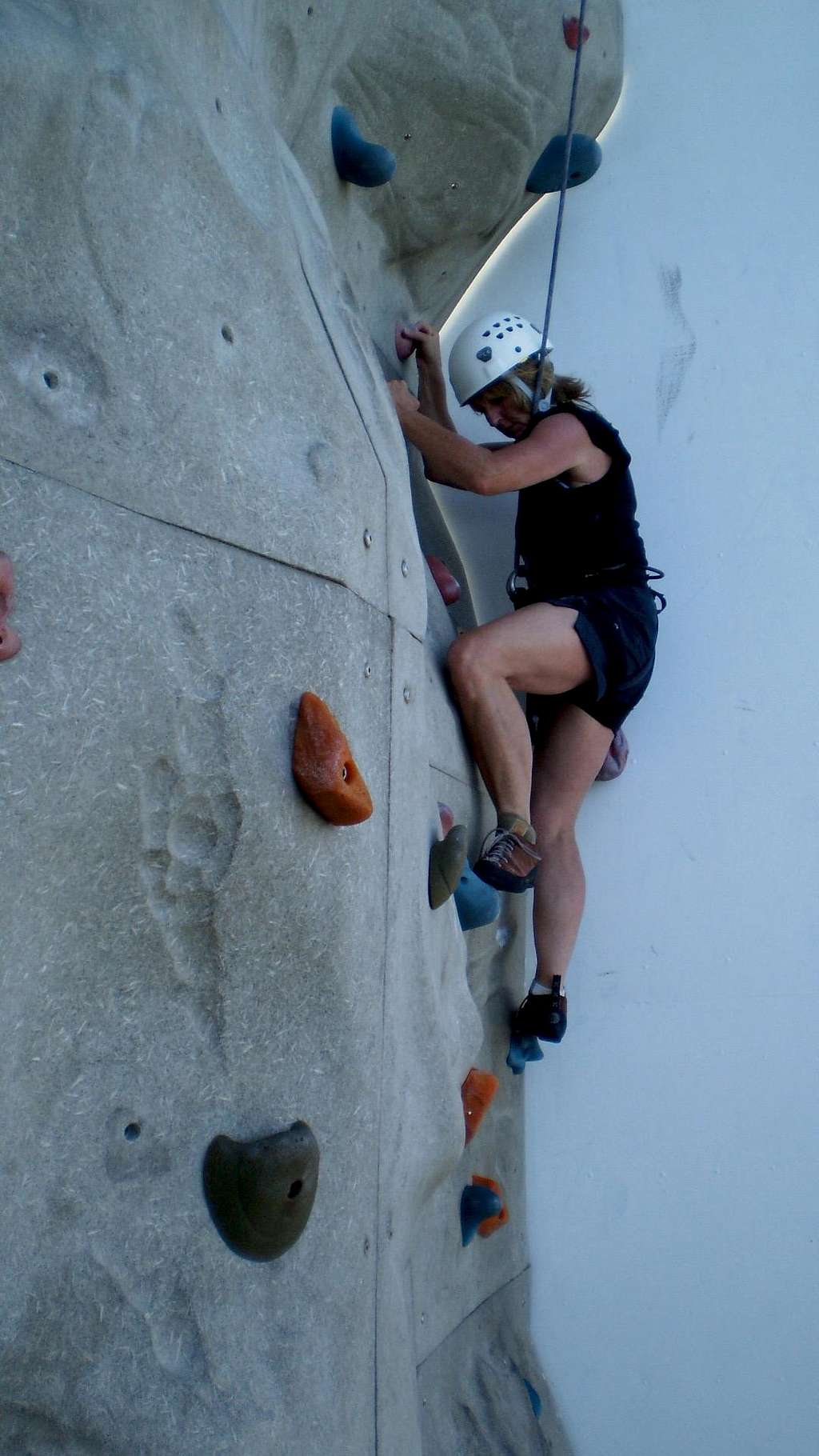 Heather Climbing