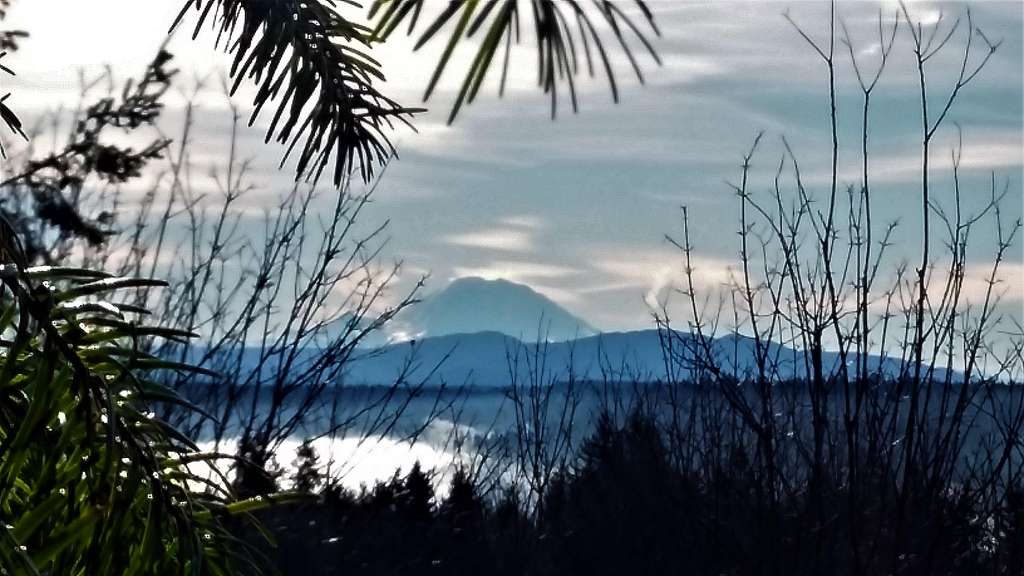 Rainier shows up in the distance