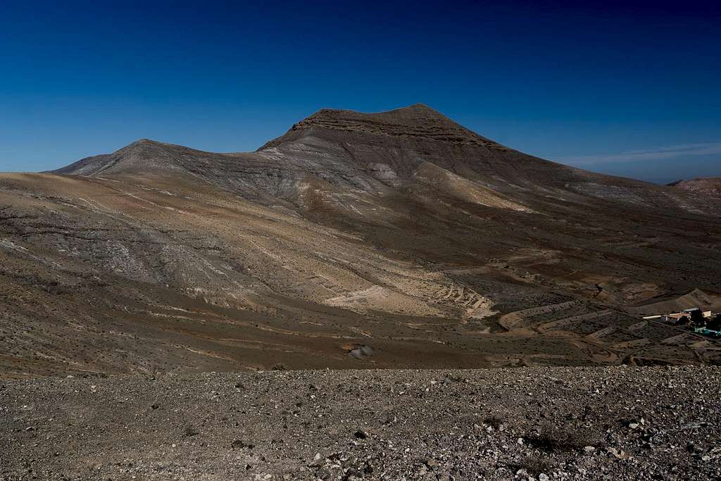 Cerro de Aceitunal