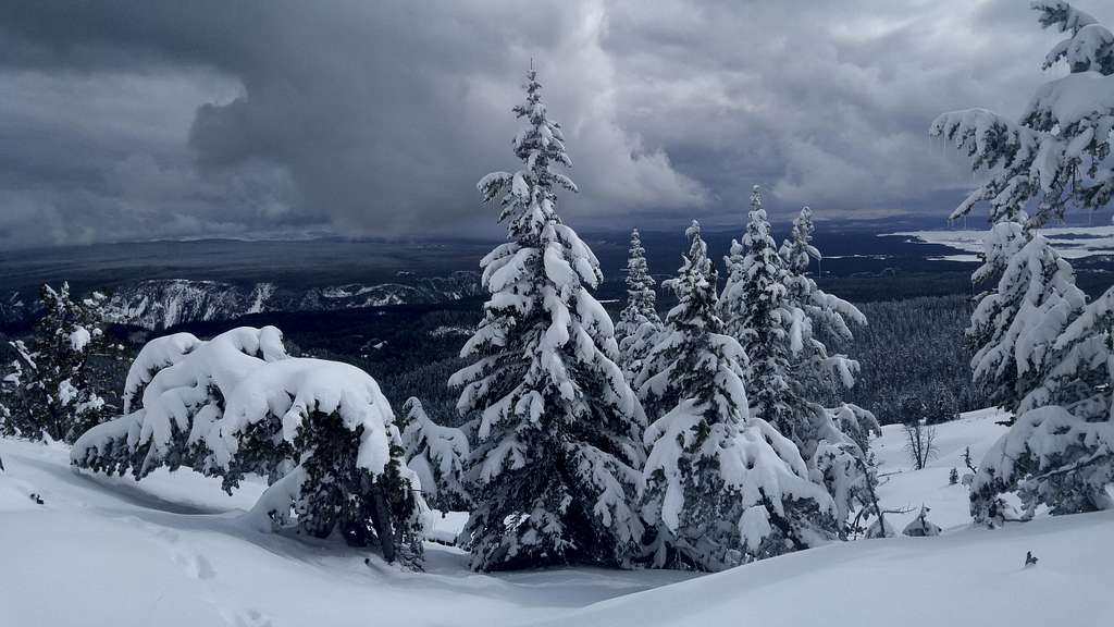 Snow- and Rime-laden Trees on Dunraven Peak's Slopes; Grand Canyon of the Yellowstone in the Distance