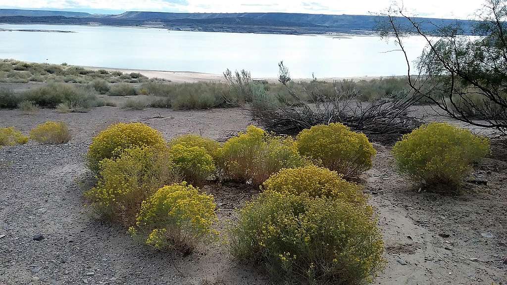 Elephant Butte State Park, NM