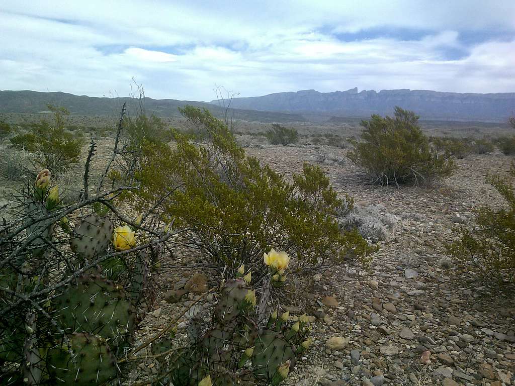 Big Bend National Park