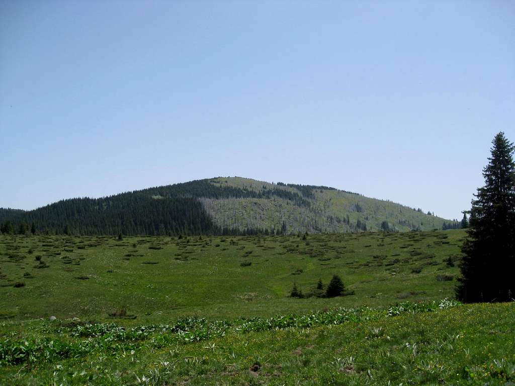 Beglika- Batashki Snezhnik peak (2082 m)