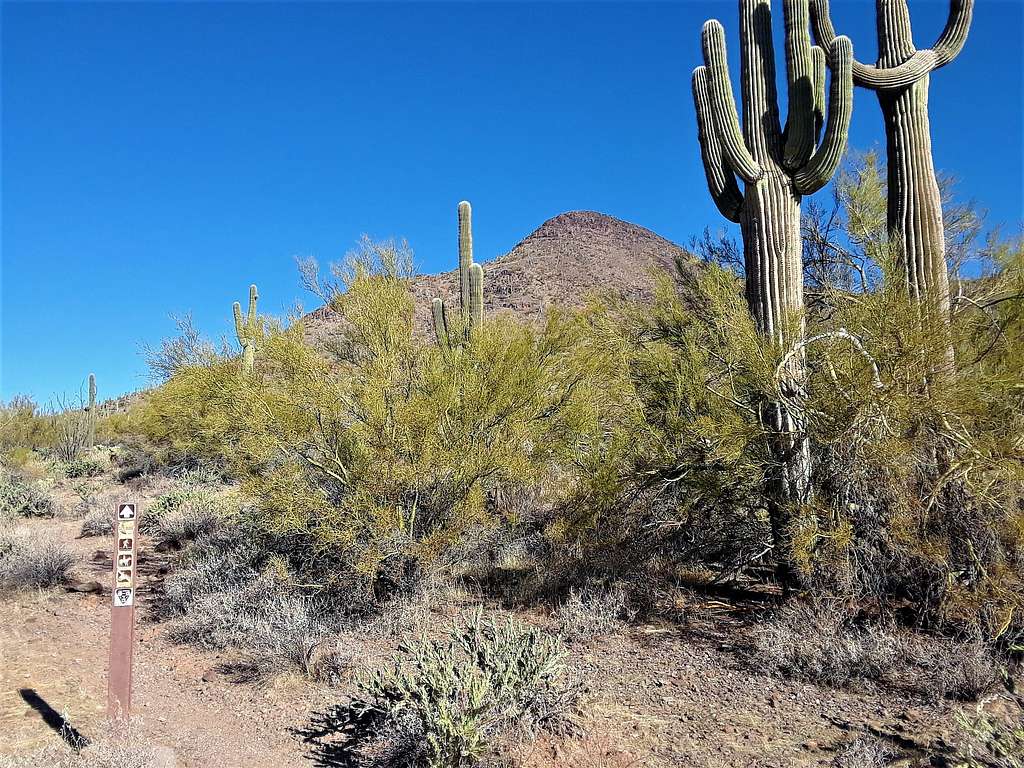 Turn off from Maricopa Trail
