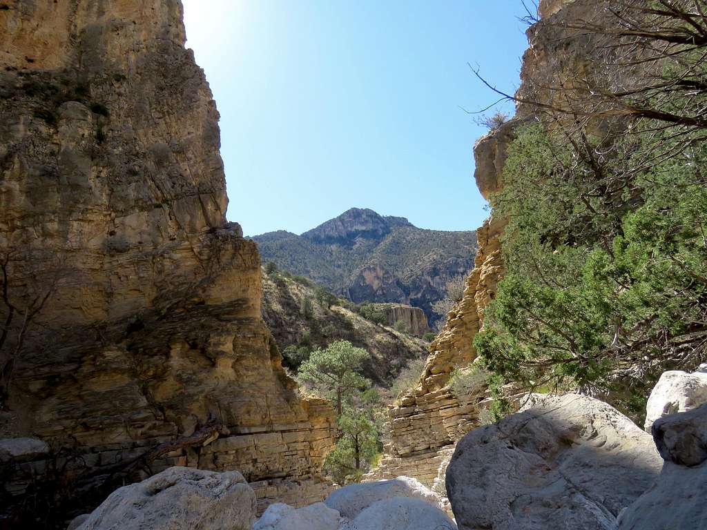 Guadalupe Peak from Pine Spring Canyon