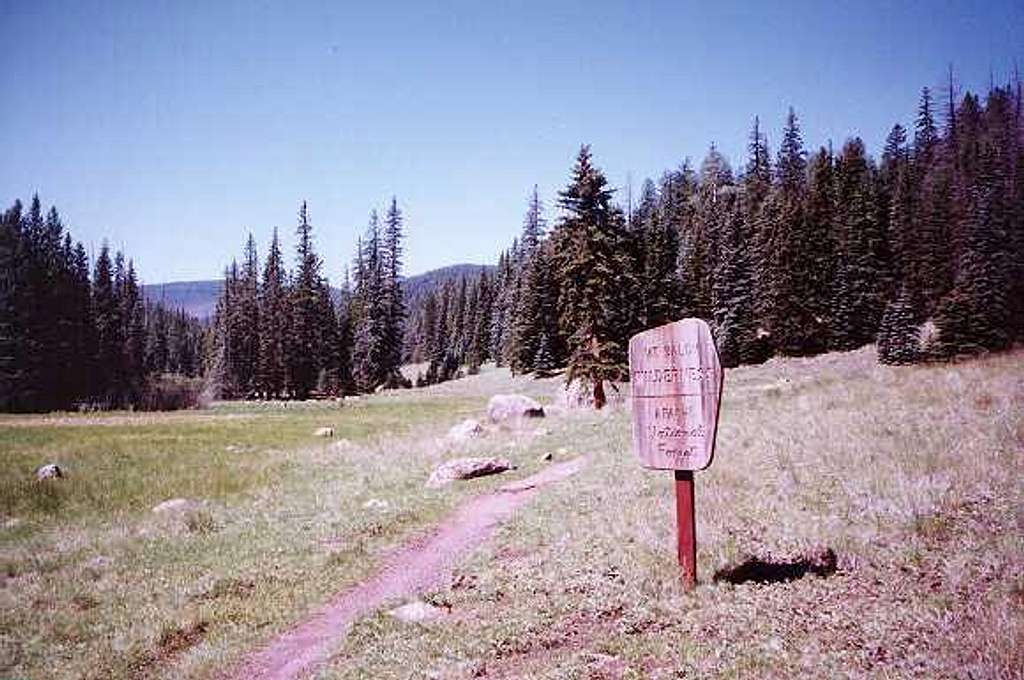 The meadow along West Baldy...