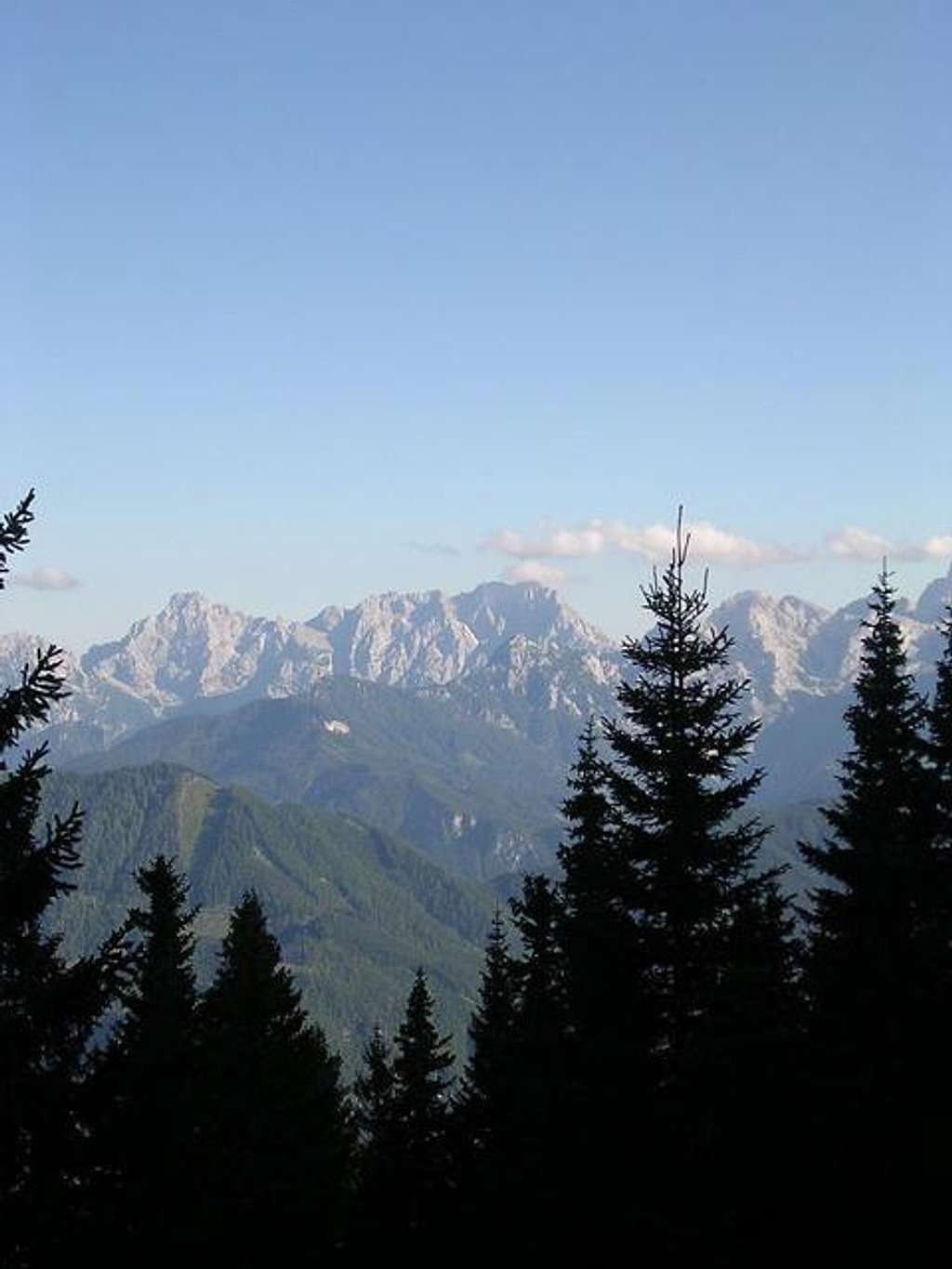 Kamnik Alps between the pine...
