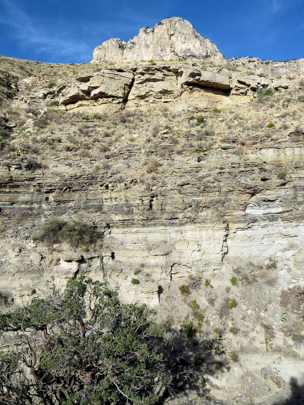 El Capitan Hat – Salt Ranch