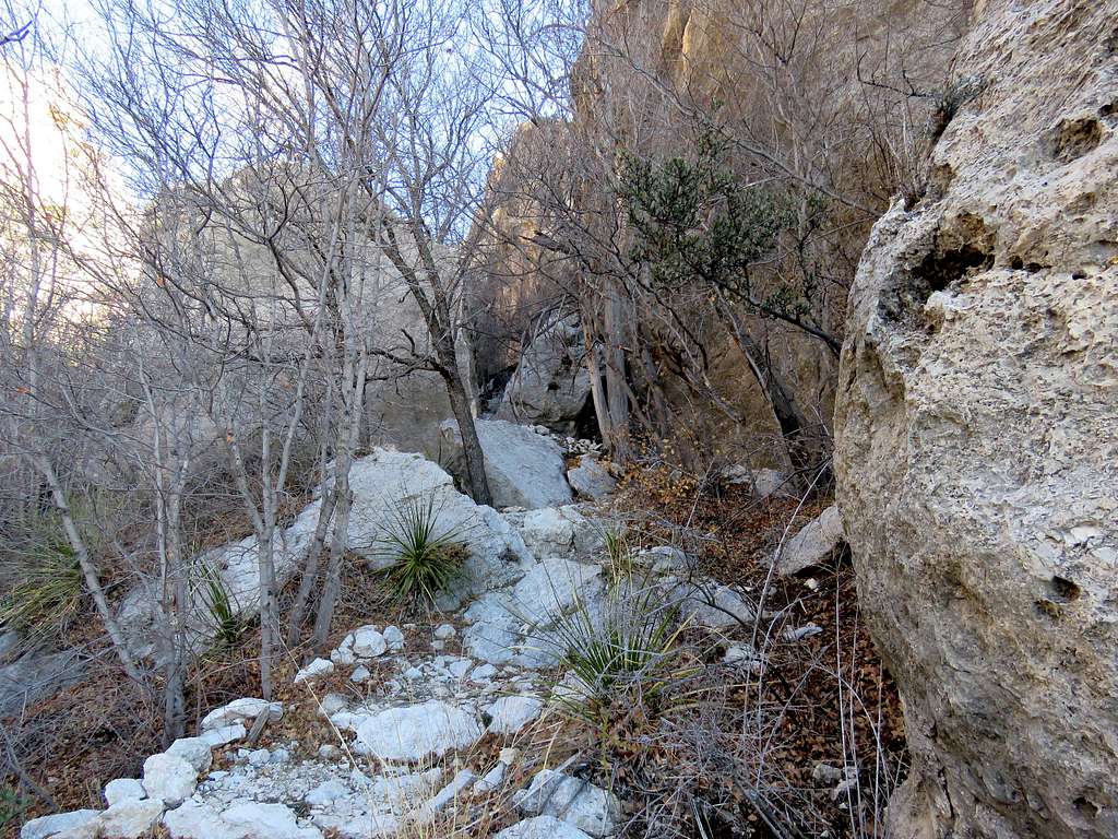 Narrows on Bear Canyon Trail