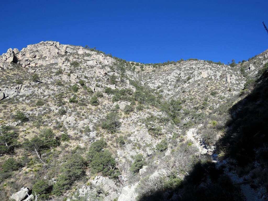 Hunter Peak from upper Bear Canyon Trail