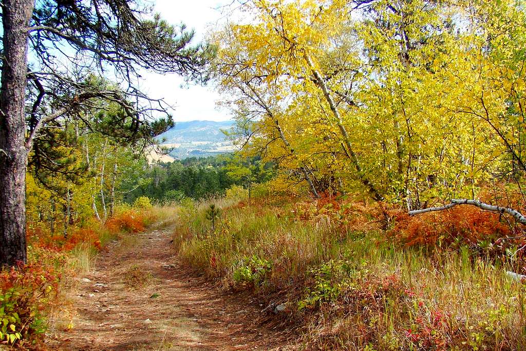 Autumn Color on Mt. Roosevelt Trail